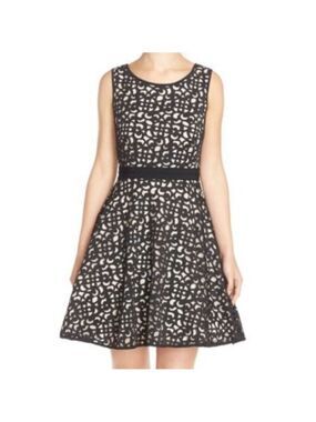 Xscape Black and Cream Dress Elegant